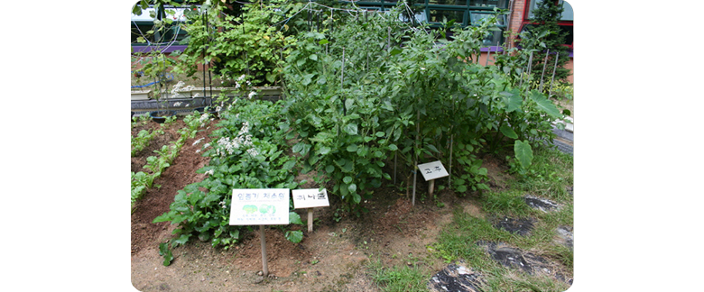 교재원 이미지